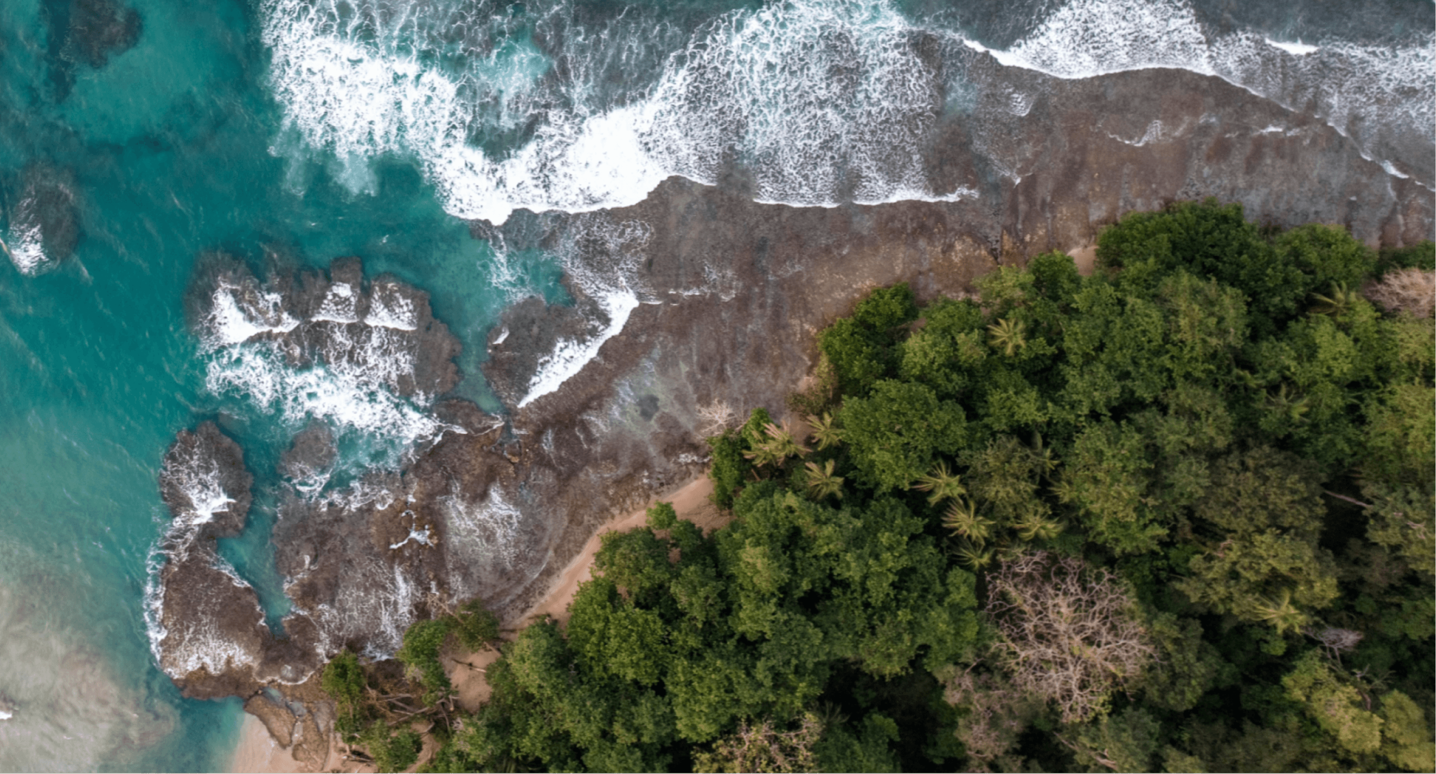 Underwater biodiversity